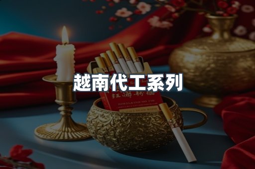 越南代工系列
